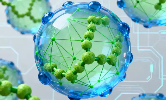 Why U.S. Supplement Companies Are Switching to Liposomal Echinacea Ingredients?